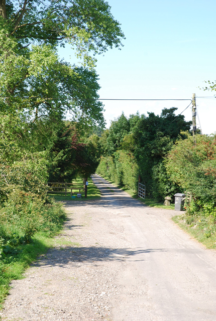 Road to Lower Pertwood Farm