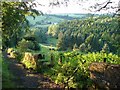 The Stey Brae, Lanark  2007