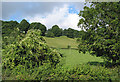 Hillside farmland near Barrel Farm