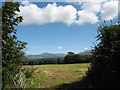 A hay meadow with a view