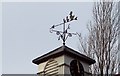 Weathervane on Damerham Village Hall