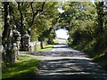 Gateposts to Haroldston Hall