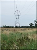 TM1754 : Power Lines Near Ashbocking by Keith Evans