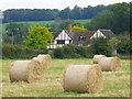 Hay Bales near Shepherds Lane