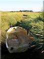SU8303 : Abandoned Boat by Simon Carey