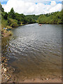 River Wye downstream from Lower Lydbrook