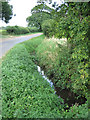 Headwaters of Panford Beck feeding into Black Water