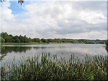 SK7118 : Priory Water Nature Reserve by Tim Heaton