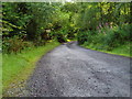 Track leading towards Burnfoot, Carrick and Knocknairling.