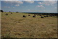 Hay bales near Mockley Wood