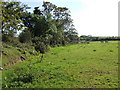 Pasture land near West Jordanston