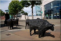 J3474 : Sculpture, Laganside, Belfast by Albert Bridge