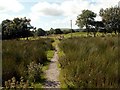 The Footpath to Pontrhydfendigaid