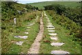 Trackbed of the Kilmar Railway