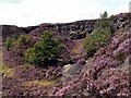 Holybank Quarry Tintwistle