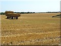 Farmland, Shrewton