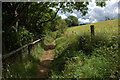 Bridleway alongside Long Plantation, Bredon Hill