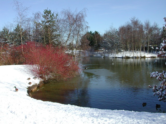 Pond near Whittle Hall, Great Sankey in snow