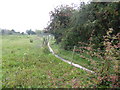 Footpath and paddocks in Hermitage