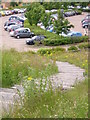 Steps through wildlife meadow in Business Park