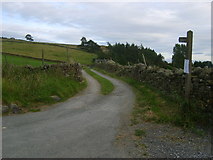 NY9924 : Teesdale Way by William Metcalfe