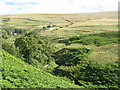 The valley of Red Burn