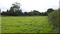 Pasture near Milestone Farm