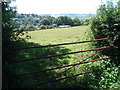 Meadow above Kerne Bridge