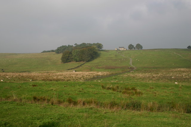 Cockmount Hill Farm on Roman Wall