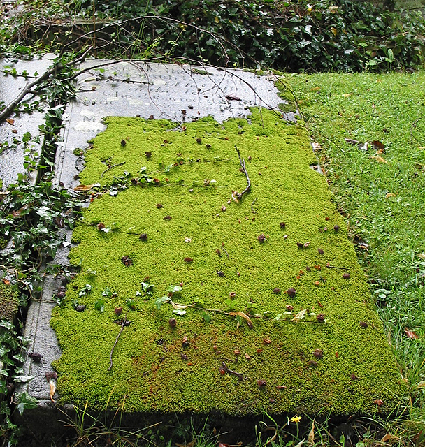 Moss-covered grave, St. Mary's, Newent.