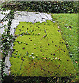 Moss-covered grave, St. Mary