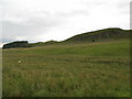 NY7868 : Cuddy's Crags and Housesteads Crags by Mike Quinn