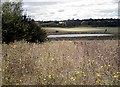 Reservoir from the wildlife meadow