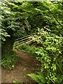 Footpath and footbridge, Overdale