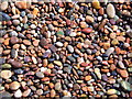 Wet pebbles on the shoreline, Auchmithie