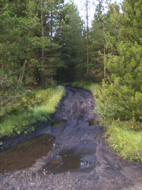 Langdale Quest 4X4 track © Phil Catterall cc-by-sa/2.0 :: Geograph ...