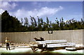 Feeding Time for the Sea Lions at Blackpool Zoo