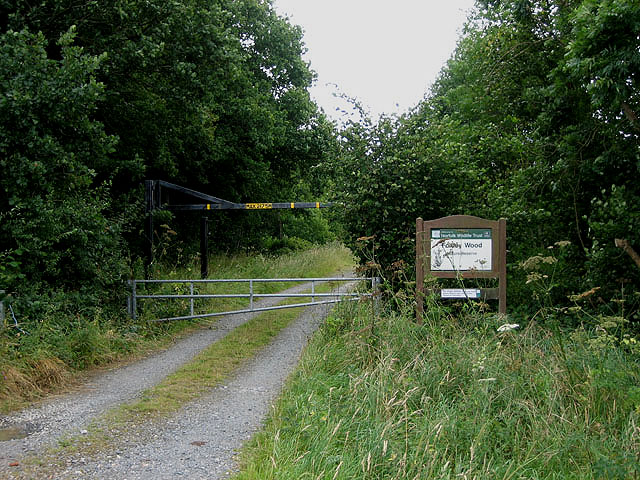 Entrance to Foxley Wood