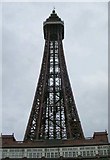 SD3036 : Blackpool Tower by Betty Longbottom