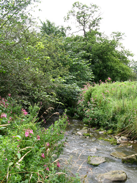 Ford for footpath on a minor tributary of the River North Tyne