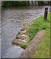 Horse Pull Out - Leeds/Liverpool Canal - Weavers