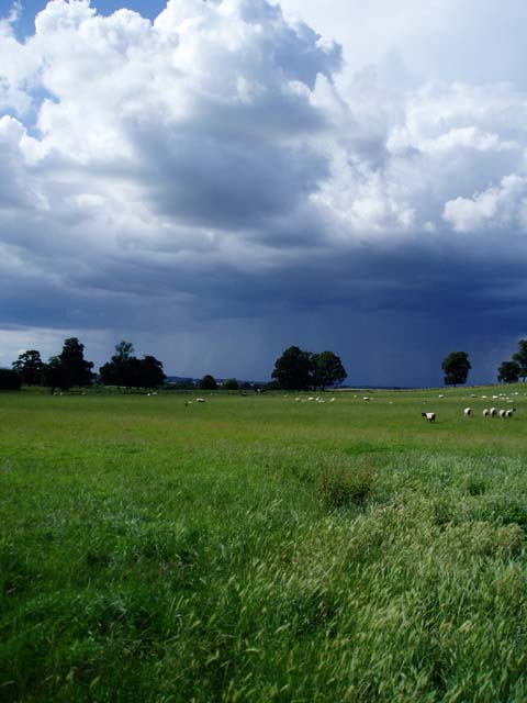 Rainclouds gathering over farmland