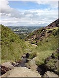 SE1445 : Looking down Coldstone Beck, Burley Moor by Rich Tea