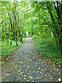 Benburb Valley Park