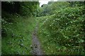 Old railway near Millmount, Banbridge