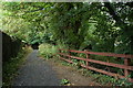 Lane at Clare Glen near Tanderagee