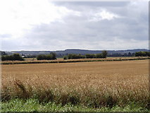 TL0645 : Farmland south-east of Elstow by David Kemp