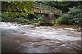 Footbridge, Clare Glen, Tanderagee (3)