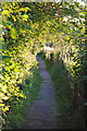 Footpath to church, Barton Stacey