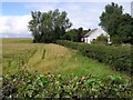 Boghill Townland